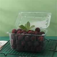1.5L fruit clamshell  from mmcis china